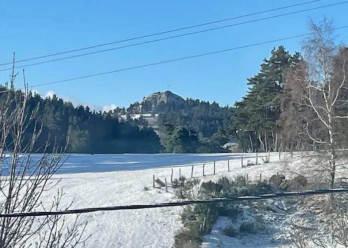Grand Peyrau Aubrac Loup Gevaudan Lozere A75 *